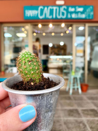 happy cactus in El Cotillo