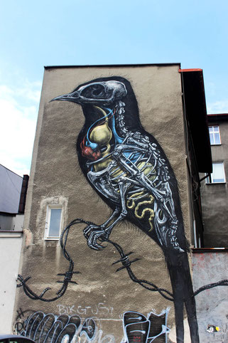 Art by ROA in Katowice