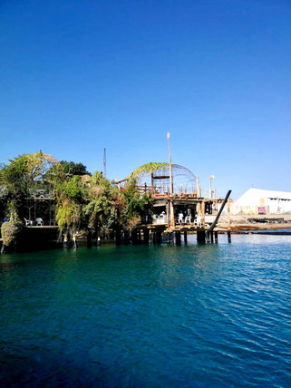 the spa at dolphin reef