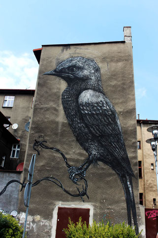 bird art by ROA in Katowice