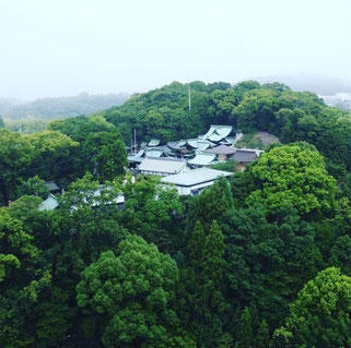 多井畑厄除八幡宮