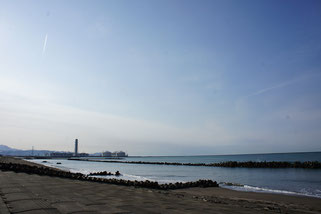 とっても穏やかな日本海。水平線に佐渡島も見えました