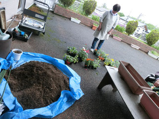 苗植えの準備完了