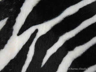 © ChicCharme, Claudia Bättig, Stylist, Farb-, Stilberatung, Fashion Blog, Mode Blog, Schweiz, Zürich Uster, Atelier, 8600 Dübendorf Gfenn, 24 Farbtypen, ColourmeBeautiful, Garderobenplanung, Einkaufsbegleitung, Personal Shopping, edle Shirts, Accessoires
