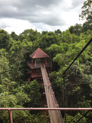 Botanischer Garten Trang