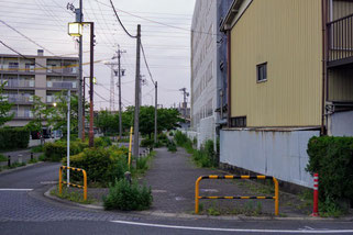 広い歩道の下に暗渠があるのだろう。上流を向いて撮影