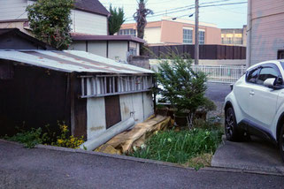 分水の下流側に回り込む。草が生えているところが流路跡