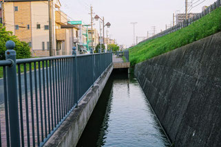 ずっとこんな感じの景色