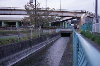 昭和橋通の南の開渠。上流を向いて撮影