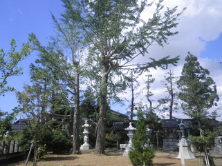 作業後