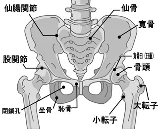 会津 湯川 整体 骨盤矯正 ほぐし屋本舗