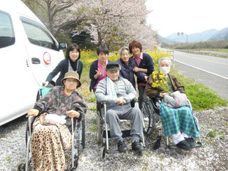 桜と菜の花の前で記念撮影