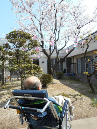 暖かな春の日差し、気持ち良さそうですね