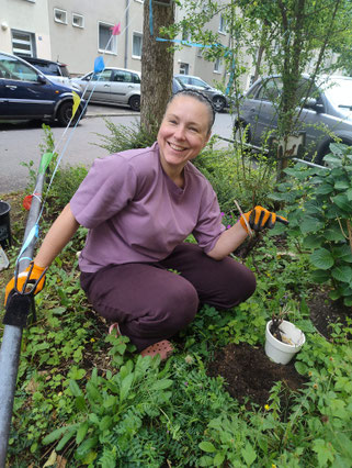 Beetpatin in der Steubenstraße pflanzt Löwenmäulchen.