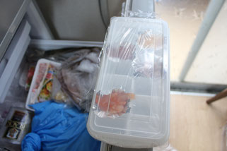 鮭いくら製氷ケース冷凍