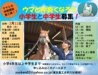 horseセラピー アニマルセラピー npo法人府中市民活動支援センター