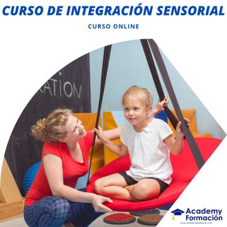 curso de integración sensorial