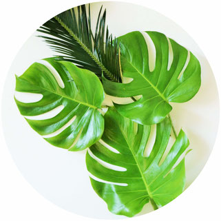 Bild: DIY Greenery und urban Jungle Deko Ideen für die Party und Hochzeit; mit Freebie Bastelvorlage für Monstera Party Deko Printables; gefunden auf www.partystories.de