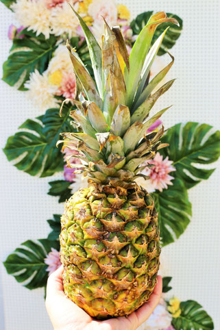 Bild: DIY Photobooth -So einfach kannst Du eine schöne Fotoecke samt Hintergrundwand im tropical Style aus Seidenblumen und Monstera Blättern selbst gestalten, von Partystories.de in Kooperation mit Depot