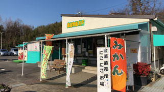 サバーファームのいちご狩り 富田林ニュース 24