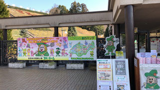 サバーファームのいちご狩り 富田林ニュース 24 サバーファームのいちご狩り 富田林ニュース 24