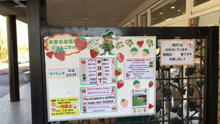 いちご狩り