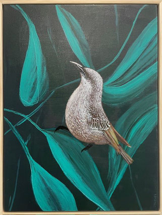 "Little Wattlebird" 50cm x 65cm Acrylic on canvas, pinewood frame $450 (excluding freight)