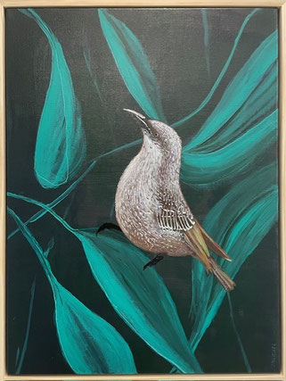"Little Wattlebird" 50cm x 65cm Acrylic on canvas, pinewood frame $350 (excluding freight)