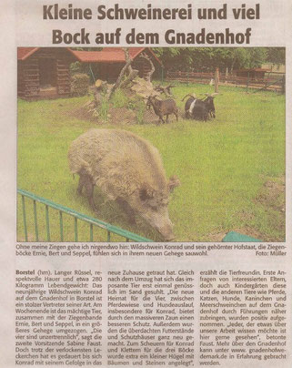 Neustädter Zeitung, Mittwoch 02.06.2010