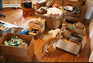 Haushaltsauflösung Messie Wohnung 