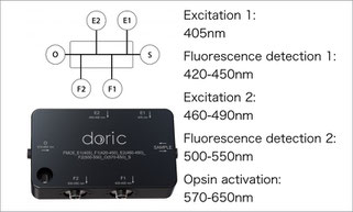 ファイバーフォトメトリー 蛍光ミニキューブ Fluorescence Mini Cube with 3ports for fiber photometry