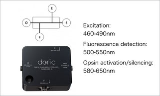 ファイバーフォトメトリー 蛍光ミニキューブ Fluorescence Mini Cube with 3ports for fiber photometry