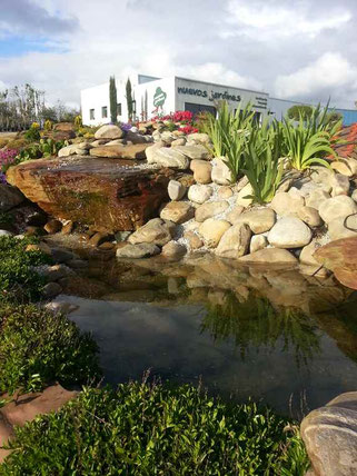 ¿QUÉ NECESITAS? | CONSÚLTANOS - Tienda on line de jardinería | Tienda