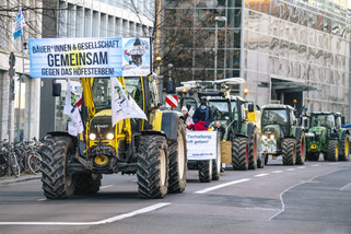 Foto: Nick Jaussi/wir-haben-es-satt.de