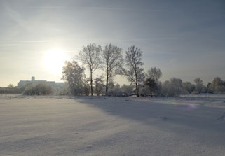 Winter am Federsee