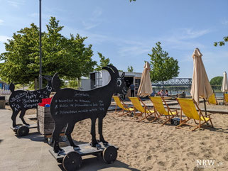 Ein Strand mit Ausblick auf den Rhein