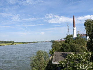 Rhein mit Rheinaue und Industriekomplex