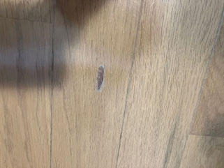 札幌フローリング補修は合同会社Suiren