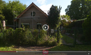 Hanfingenieur bei ntv