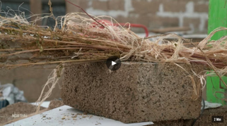 Hausbau mit Hanfbeton NDR