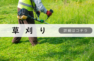 札幌便利屋Suiren草刈り内容