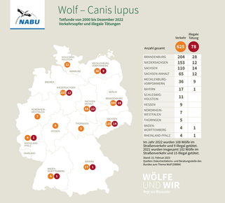 Wolf – Totfunde in Deutschland, von 2000 bis Dez. 2022, Stand: 15.02.2023, Grafik-Quelle: NABU