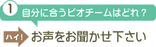 自分に合うビオチームはどれ