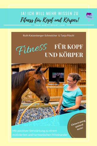 Fitness für Kopf und Körper - Clickertraining mit Pferden spielend leicht!