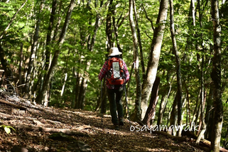 奥多摩の山登り！昭島市・立川市の登山教室は、オサモミ整体院までご連絡下さい。