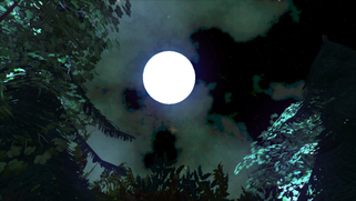 無料動画素材１３４「ＣＧ森の泉と月明かり」