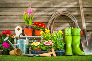 4 tips voor het inrichten van je tuin
