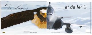 remy michelin peintre de l'air et de l'espace photographe aéronautique aviation avion de plumes et de fer