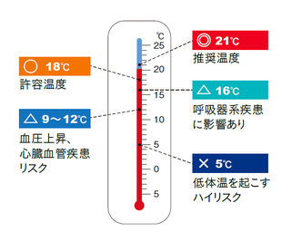 出典：英国保健省2009年次報告書より