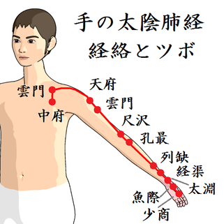 手の太陰肺経のツボの位置